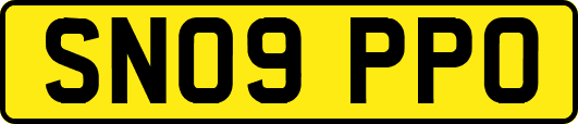 SN09PPO
