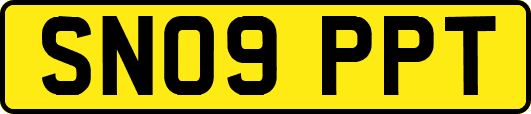 SN09PPT