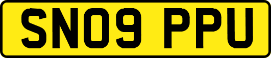 SN09PPU