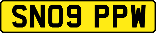 SN09PPW