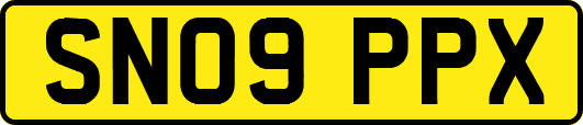 SN09PPX