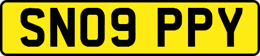 SN09PPY