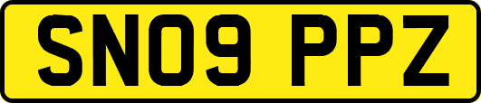 SN09PPZ
