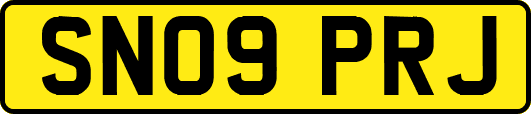 SN09PRJ