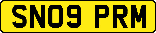 SN09PRM