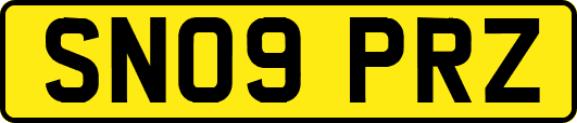 SN09PRZ