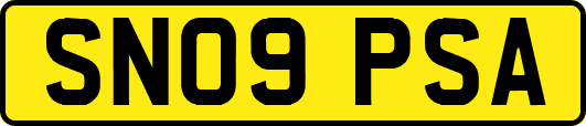 SN09PSA
