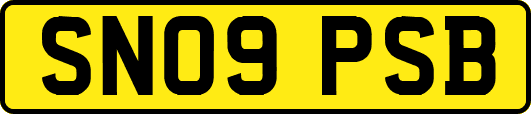 SN09PSB