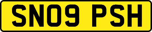 SN09PSH