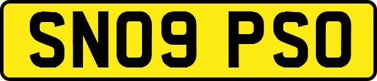 SN09PSO