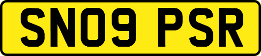 SN09PSR