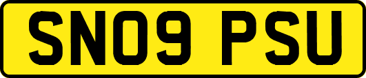 SN09PSU