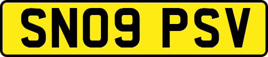 SN09PSV