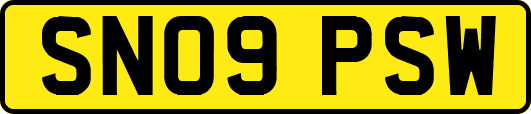 SN09PSW