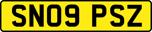 SN09PSZ