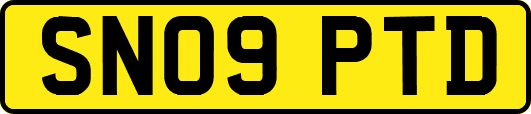 SN09PTD