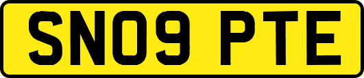 SN09PTE