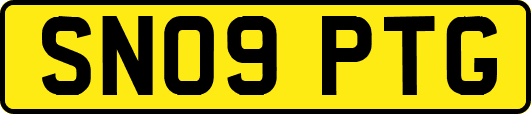 SN09PTG