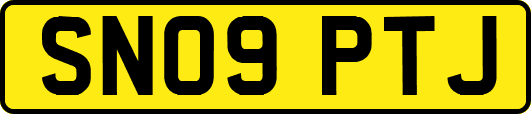 SN09PTJ