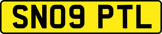 SN09PTL