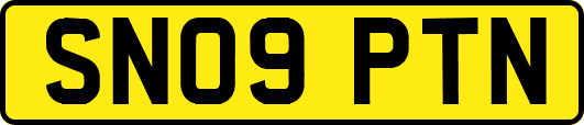 SN09PTN