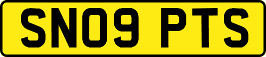 SN09PTS