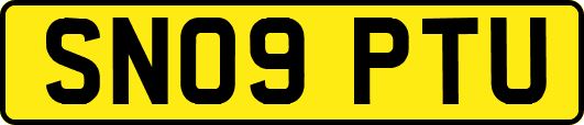 SN09PTU