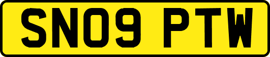 SN09PTW