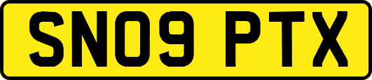 SN09PTX