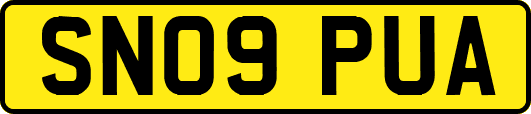 SN09PUA