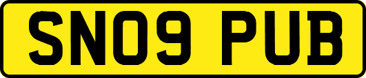 SN09PUB