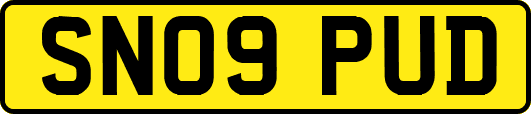 SN09PUD