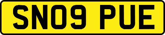 SN09PUE