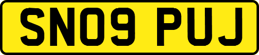 SN09PUJ
