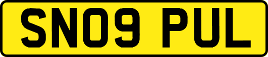 SN09PUL