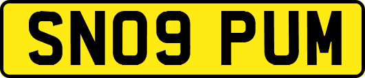 SN09PUM