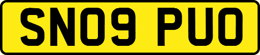 SN09PUO