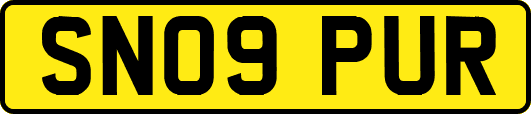 SN09PUR
