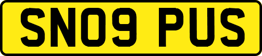 SN09PUS