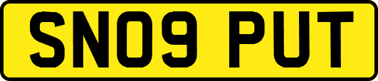 SN09PUT