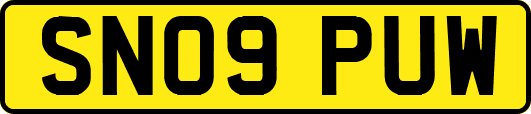 SN09PUW