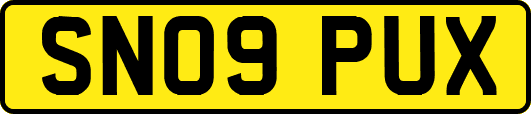SN09PUX