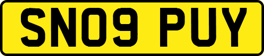 SN09PUY