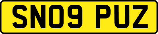 SN09PUZ