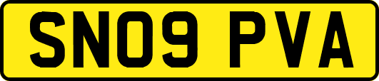 SN09PVA