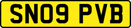 SN09PVB
