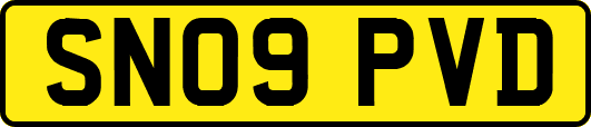 SN09PVD
