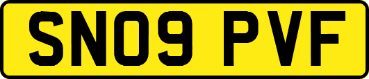 SN09PVF
