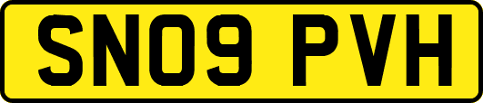 SN09PVH