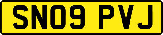 SN09PVJ